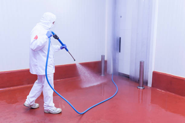 Best Building Exterior Washing  in Selma, CA