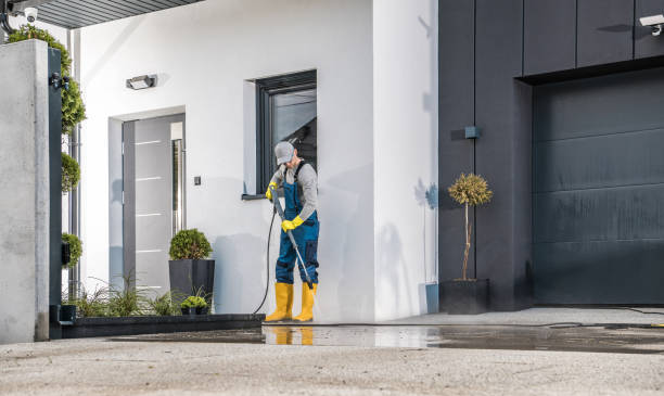 Best Driveway Pressure Washing  in Selma, CA